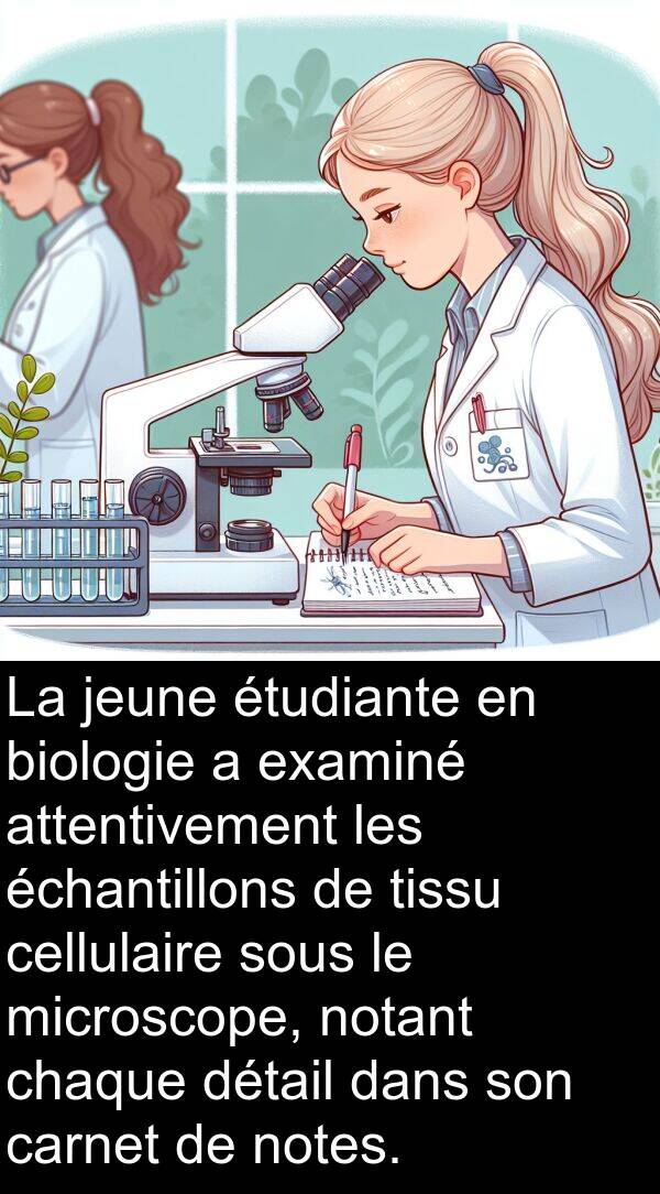 attentivement: La jeune étudiante en biologie a examiné attentivement les échantillons de tissu cellulaire sous le microscope, notant chaque détail dans son carnet de notes.