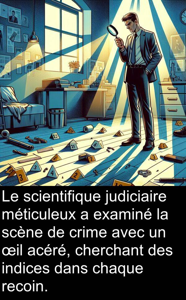 œil: Le scientifique judiciaire méticuleux a examiné la scène de crime avec un œil acéré, cherchant des indices dans chaque recoin.