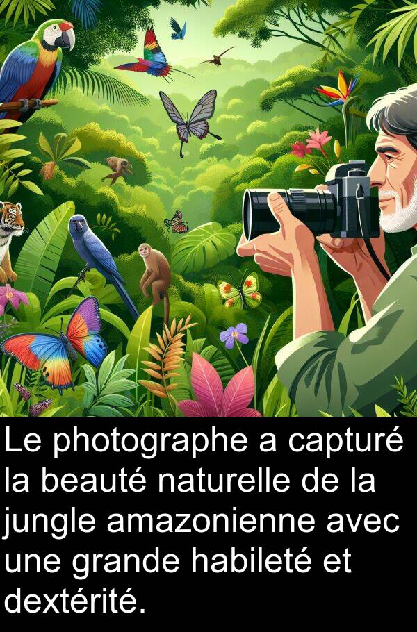 amazonienne: Le photographe a capturé la beauté naturelle de la jungle amazonienne avec une grande habileté et dextérité.