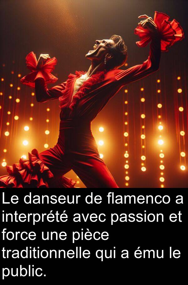 passion: Le danseur de flamenco a interprété avec passion et force une pièce traditionnelle qui a ému le public.