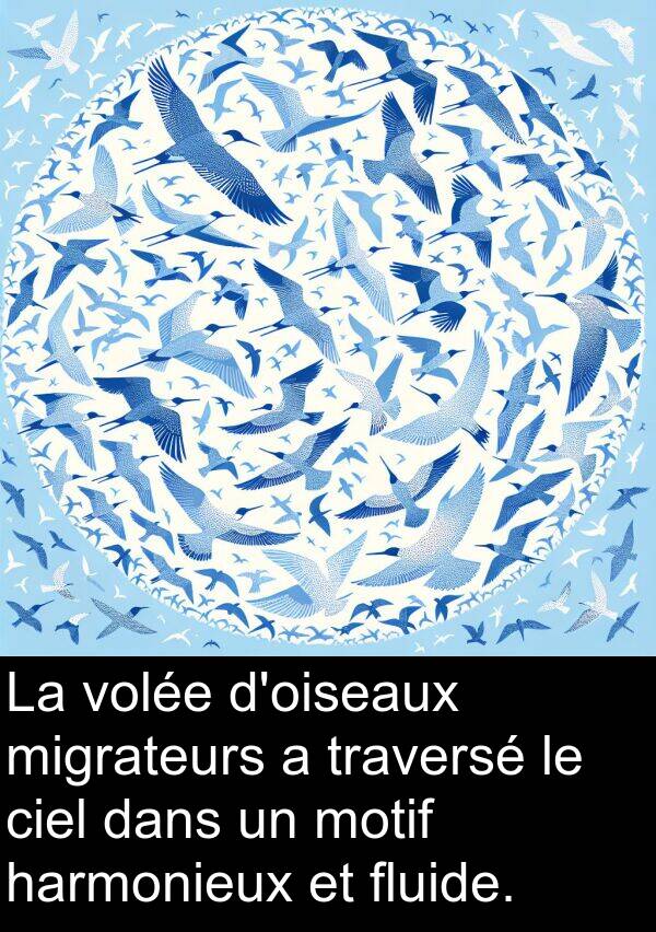 harmonieux: La volée d'oiseaux migrateurs a traversé le ciel dans un motif harmonieux et fluide.