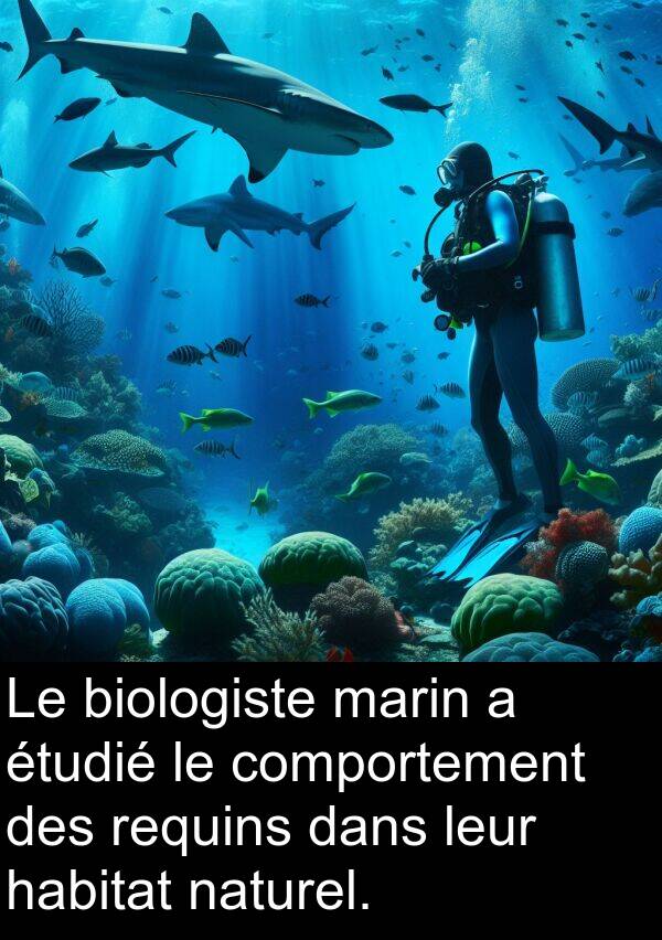 habitat: Le biologiste marin a étudié le comportement des requins dans leur habitat naturel.