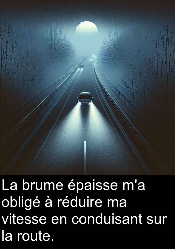 vitesse: La brume épaisse m'a obligé à réduire ma vitesse en conduisant sur la route.