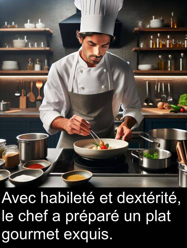 habileté: Avec habileté et dextérité, le chef a préparé un plat gourmet exquis.