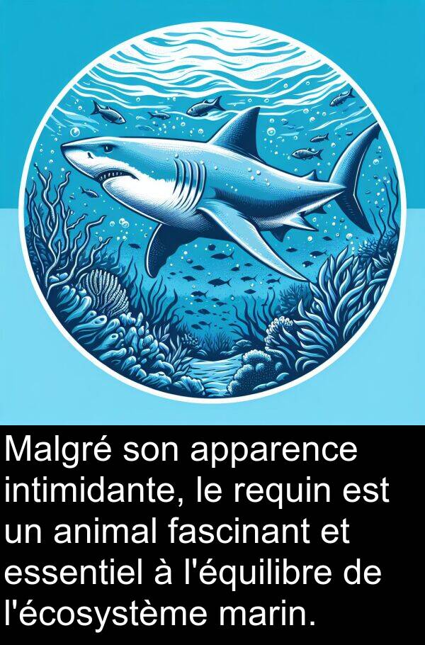 fascinant: Malgré son apparence intimidante, le requin est un animal fascinant et essentiel à l'équilibre de l'écosystème marin.