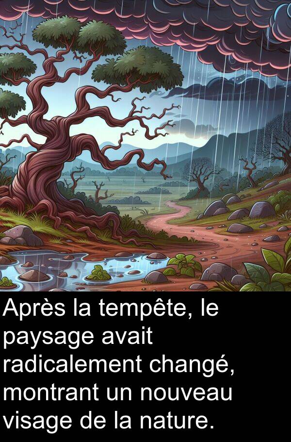 tempête: Après la tempête, le paysage avait radicalement changé, montrant un nouveau visage de la nature.