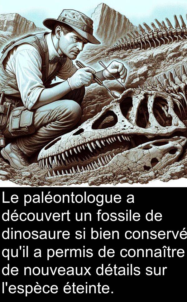 paléontologue: Le paléontologue a découvert un fossile de dinosaure si bien conservé qu'il a permis de connaître de nouveaux détails sur l'espèce éteinte.