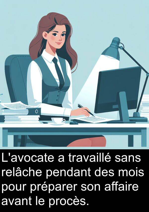 affaire: L'avocate a travaillé sans relâche pendant des mois pour préparer son affaire avant le procès.