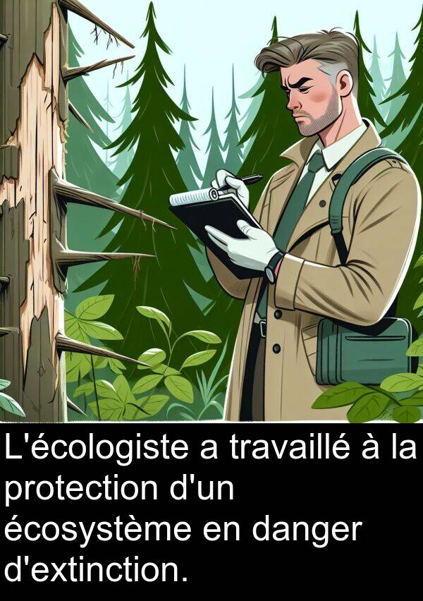 protection: L'écologiste a travaillé à la protection d'un écosystème en danger d'extinction.