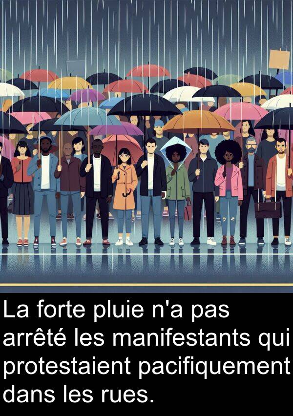 arrêté: La forte pluie n'a pas arrêté les manifestants qui protestaient pacifiquement dans les rues.