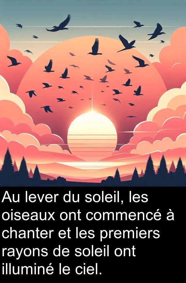 oiseaux: Au lever du soleil, les oiseaux ont commencé à chanter et les premiers rayons de soleil ont illuminé le ciel.