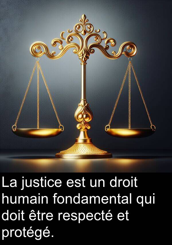 humain: La justice est un droit humain fondamental qui doit être respecté et protégé.