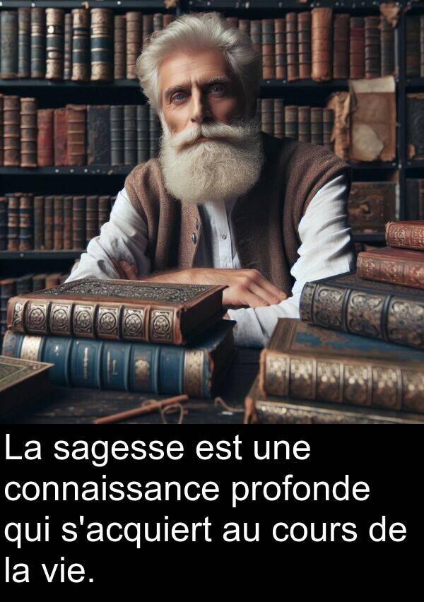 sagesse: La sagesse est une connaissance profonde qui s'acquiert au cours de la vie.