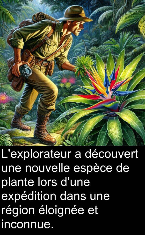 inconnue: L'explorateur a découvert une nouvelle espèce de plante lors d'une expédition dans une région éloignée et inconnue.