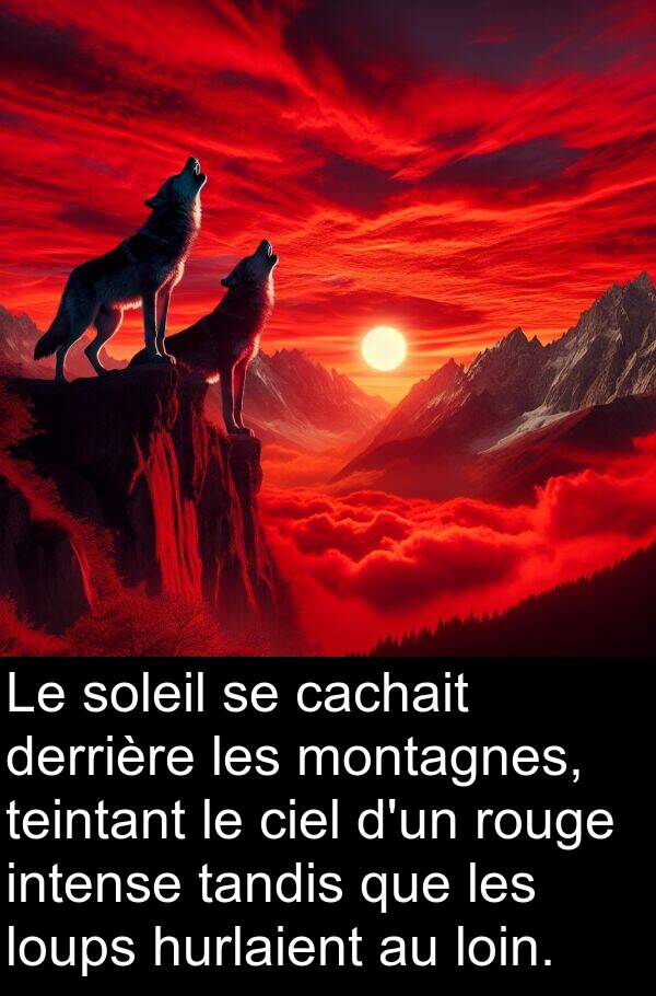 rouge: Le soleil se cachait derrière les montagnes, teintant le ciel d'un rouge intense tandis que les loups hurlaient au loin.