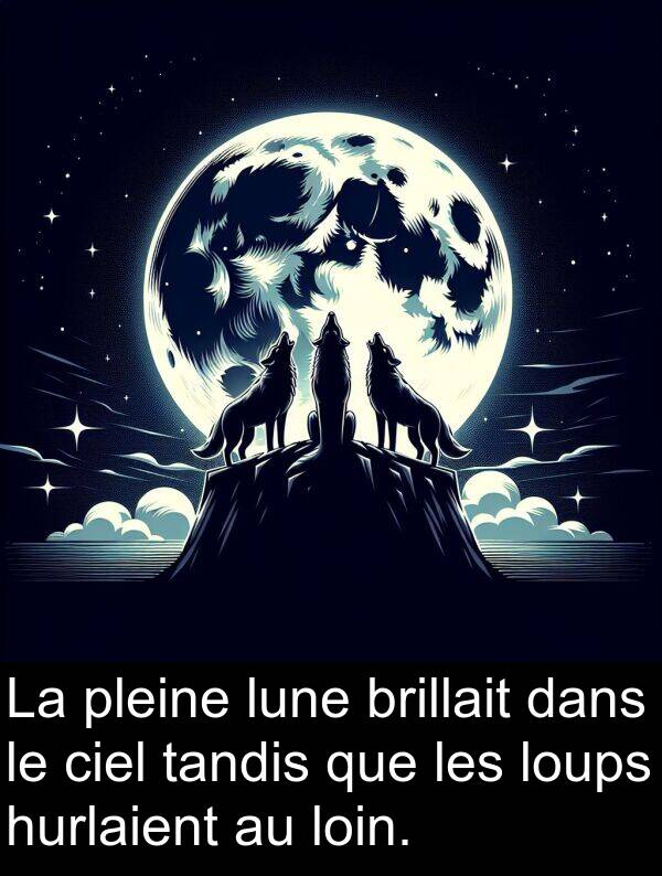 pleine: La pleine lune brillait dans le ciel tandis que les loups hurlaient au loin.