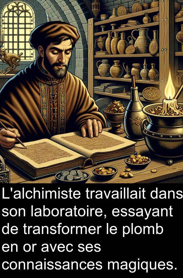 laboratoire: L'alchimiste travaillait dans son laboratoire, essayant de transformer le plomb en or avec ses connaissances magiques.