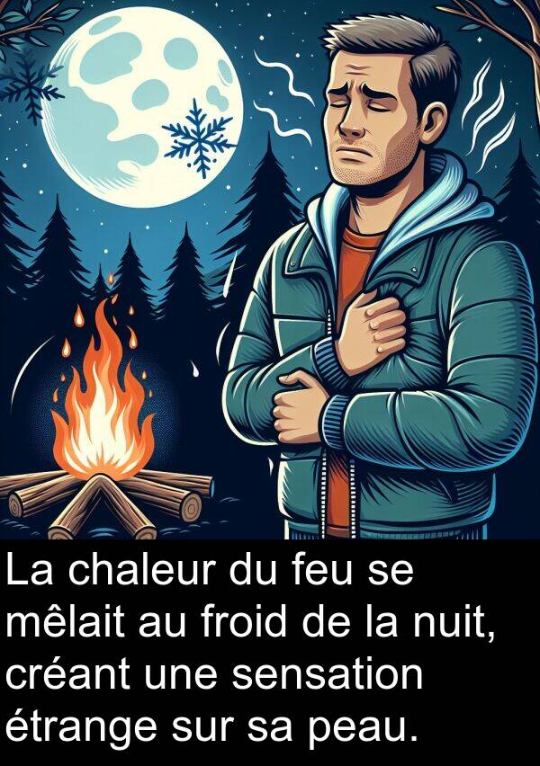 feu: La chaleur du feu se mêlait au froid de la nuit, créant une sensation étrange sur sa peau.