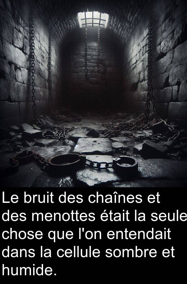 sombre: Le bruit des chaînes et des menottes était la seule chose que l'on entendait dans la cellule sombre et humide.