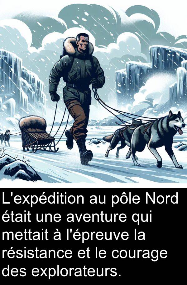 aventure: L'expédition au pôle Nord était une aventure qui mettait à l'épreuve la résistance et le courage des explorateurs.