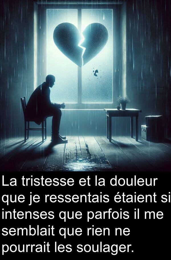 ressentais: La tristesse et la douleur que je ressentais étaient si intenses que parfois il me semblait que rien ne pourrait les soulager.