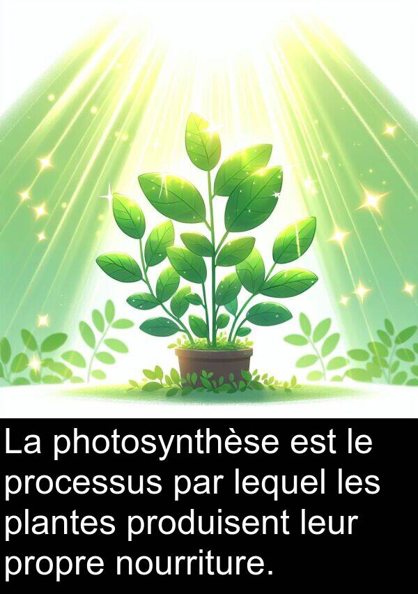 lequel: La photosynthèse est le processus par lequel les plantes produisent leur propre nourriture.