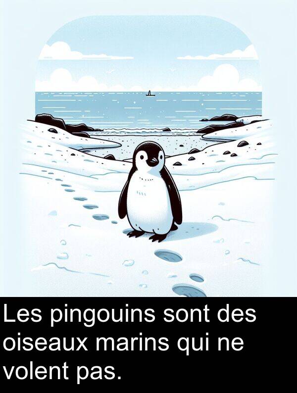 qui: Les pingouins sont des oiseaux marins qui ne volent pas.