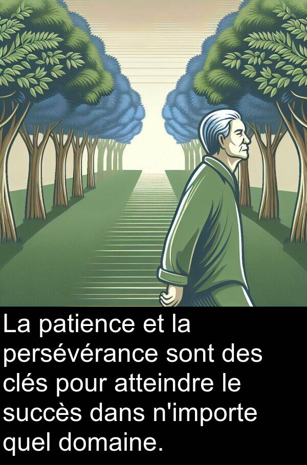 quel: La patience et la persévérance sont des clés pour atteindre le succès dans n'importe quel domaine.