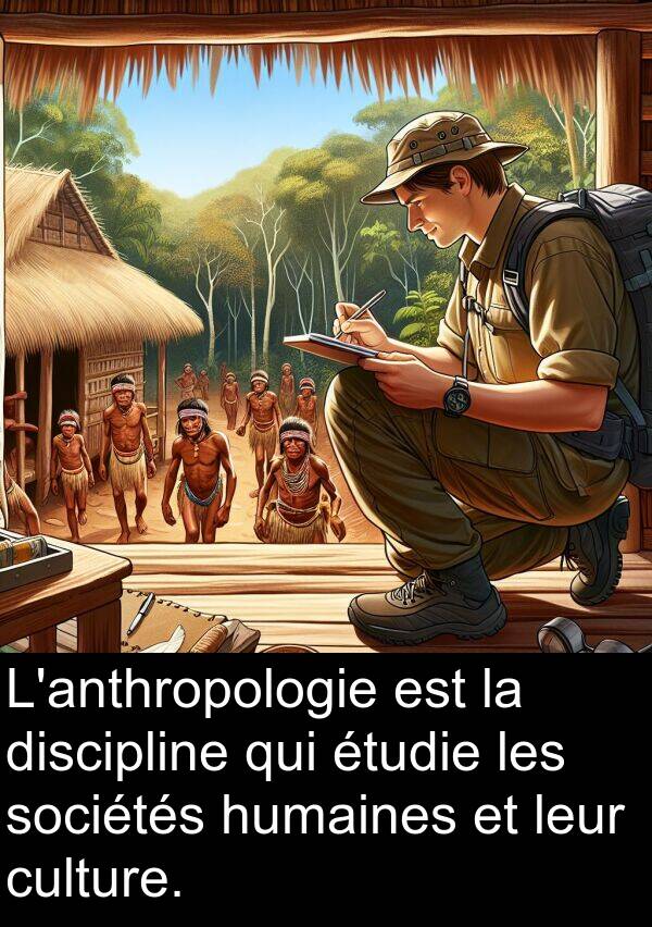 leur: L'anthropologie est la discipline qui étudie les sociétés humaines et leur culture.