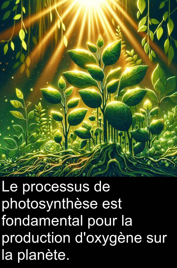 fondamental: Le processus de photosynthèse est fondamental pour la production d'oxygène sur la planète.