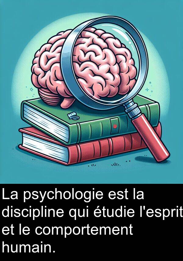 humain: La psychologie est la discipline qui étudie l'esprit et le comportement humain.