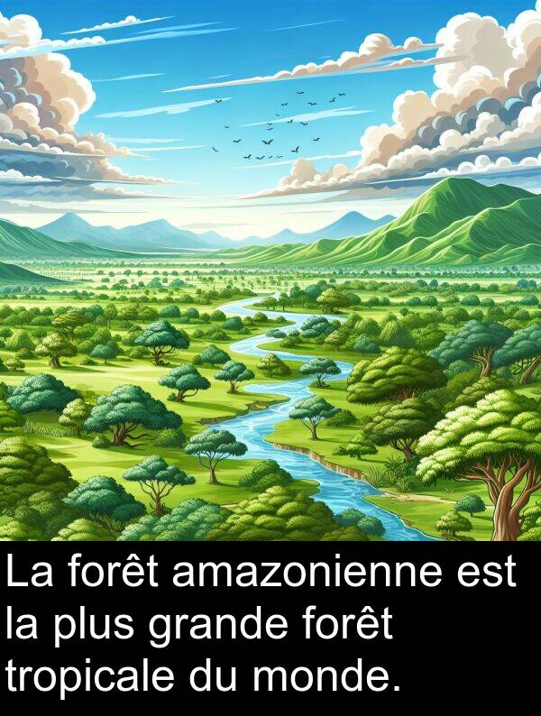 amazonienne: La forêt amazonienne est la plus grande forêt tropicale du monde.