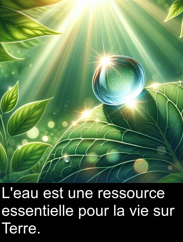 ressource: L'eau est une ressource essentielle pour la vie sur Terre.