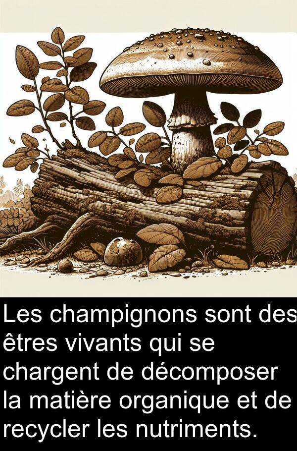 organique: Les champignons sont des êtres vivants qui se chargent de décomposer la matière organique et de recycler les nutriments.