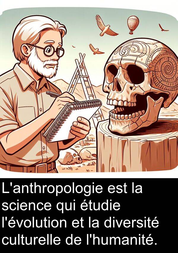 science: L'anthropologie est la science qui étudie l'évolution et la diversité culturelle de l'humanité.