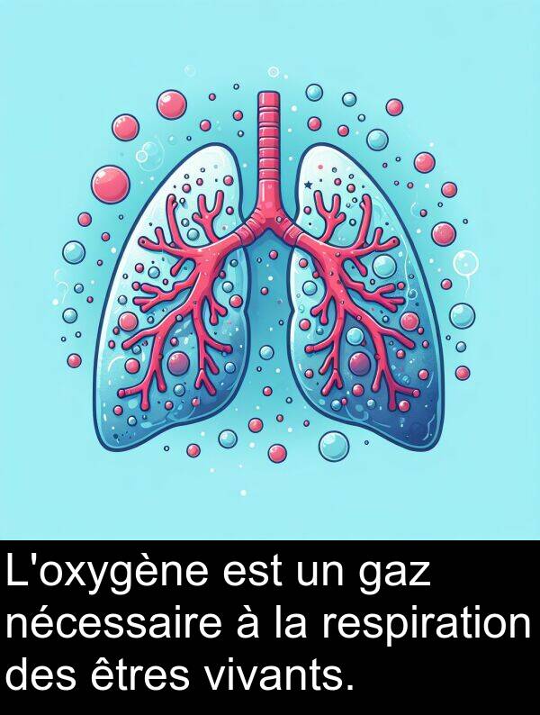 gaz: L'oxygène est un gaz nécessaire à la respiration des êtres vivants.