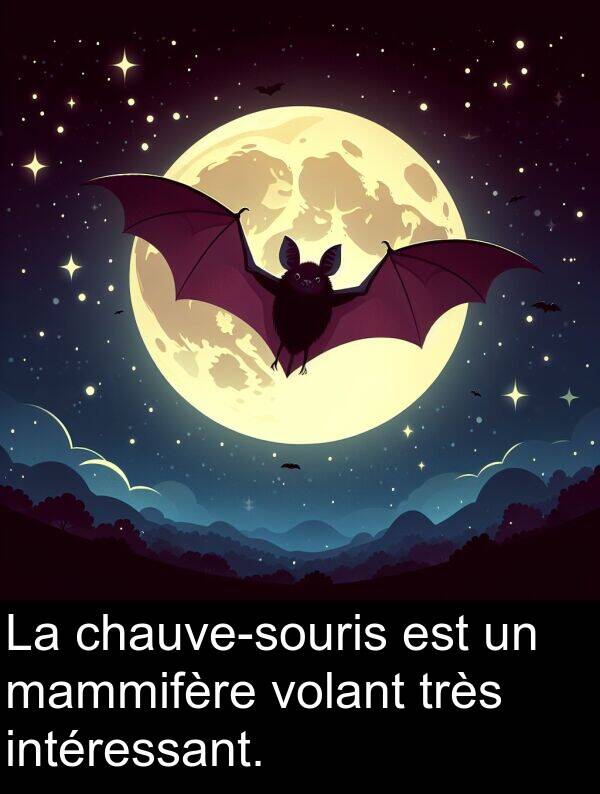 mammifère: La chauve-souris est un mammifère volant très intéressant.