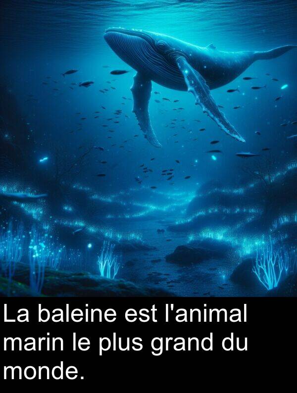 grand: La baleine est l'animal marin le plus grand du monde.