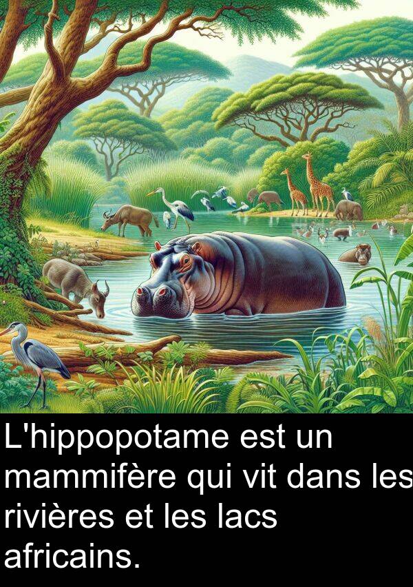 africains: L'hippopotame est un mammifère qui vit dans les rivières et les lacs africains.