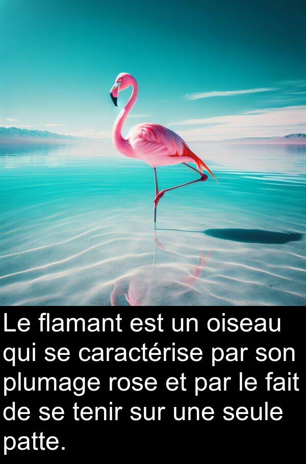 oiseau: Le flamant est un oiseau qui se caractérise par son plumage rose et par le fait de se tenir sur une seule patte.