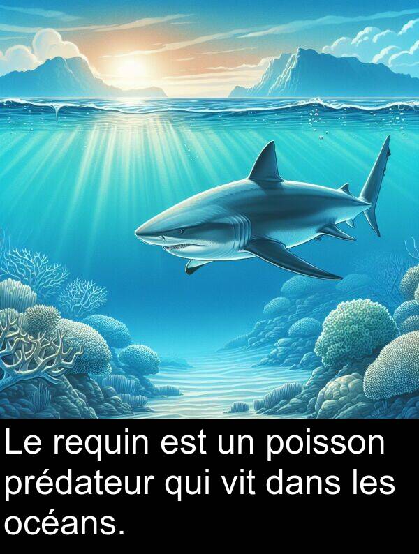 vit: Le requin est un poisson prédateur qui vit dans les océans.