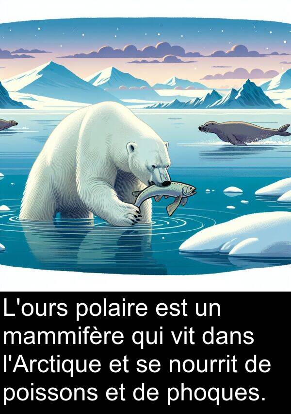 vit: L'ours polaire est un mammifère qui vit dans l'Arctique et se nourrit de poissons et de phoques.