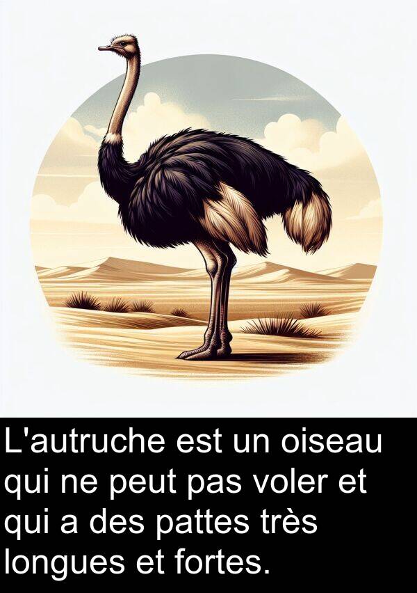 oiseau: L'autruche est un oiseau qui ne peut pas voler et qui a des pattes très longues et fortes.