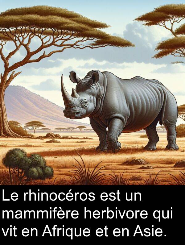 vit: Le rhinocéros est un mammifère herbivore qui vit en Afrique et en Asie.