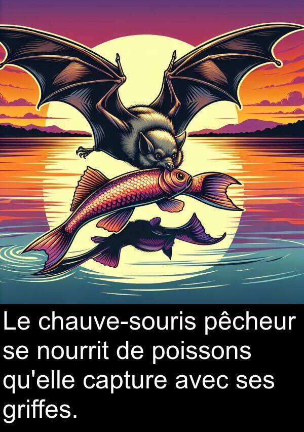 poissons: Le chauve-souris pêcheur se nourrit de poissons qu'elle capture avec ses griffes.