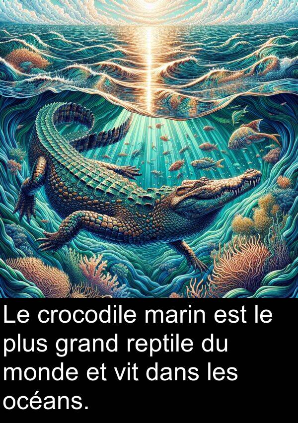 vit: Le crocodile marin est le plus grand reptile du monde et vit dans les océans.