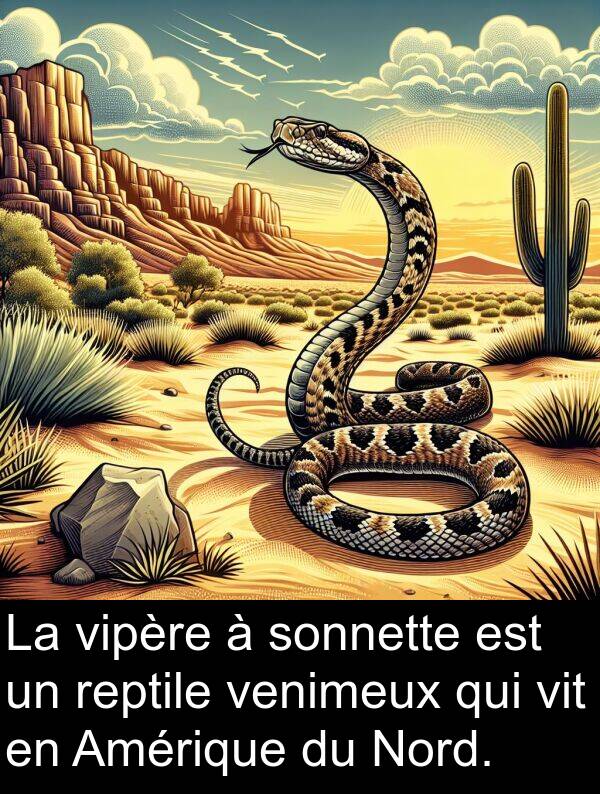 vipère: La vipère à sonnette est un reptile venimeux qui vit en Amérique du Nord.