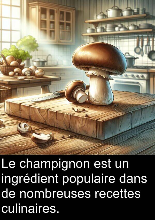 recettes: Le champignon est un ingrédient populaire dans de nombreuses recettes culinaires.