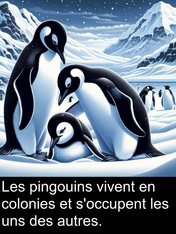 uns: Les pingouins vivent en colonies et s'occupent les uns des autres.