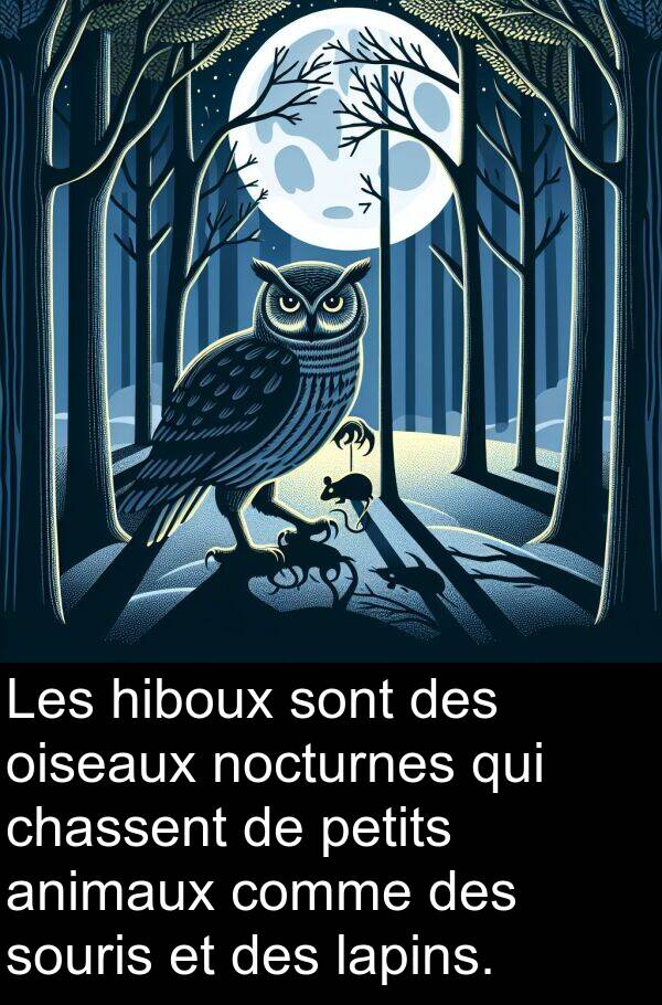 oiseaux: Les hiboux sont des oiseaux nocturnes qui chassent de petits animaux comme des souris et des lapins.